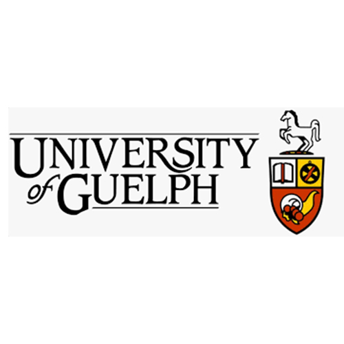 Logo 16